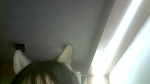 skinnykittencam online show from July 2026 06:31:02 AM