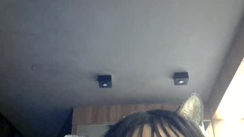 skinnykittencam online show from July 2026 07:43:01 PM