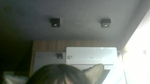 skinnykittencam online show from July 2026 07:34:02 AM