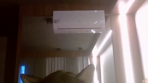 skinnykittencam online show from July 2026 08:02:01 PM
