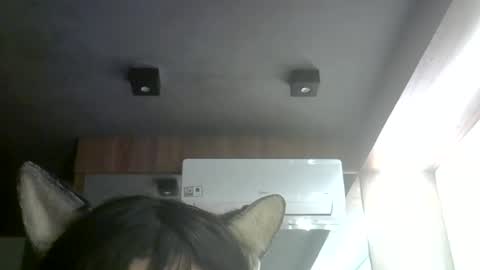 skinnykittencam online show from July 2026 09:03:02 AM