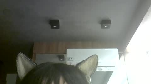 skinnykittencam online show from July 2026 10:29:01 AM