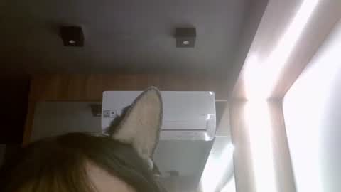 skinnykittencam online show from July 2026 11:50:01 AM