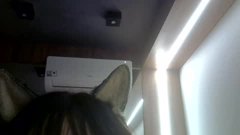 skinnykittencam online show from July 2026 02:09:01 AM