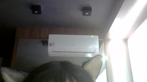 skinnykittencam online show from July 2026 05:22:01 PM