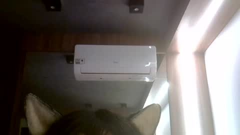 skinnykittencam online show from July 2026 05:27:02 AM