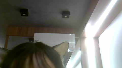 skinnykittencam online show from July 2026 06:38:02 PM