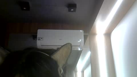 skinnykittencam online show from July 2026 02:46:02 PM