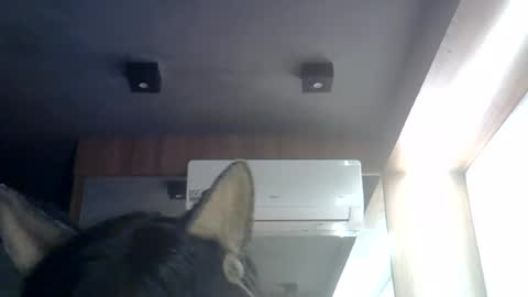 skinnykittencam online show from July 2026 06:09:02 AM