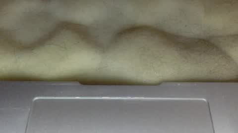 skinnypole6 online show from February 2025 06:58:02 PM