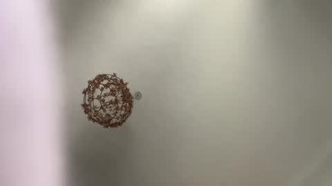 Snapshot of skuzzy25 chatting on March 2025 08:49:02 AM skuzzy25 online show from March 2025 08:49:02 AM