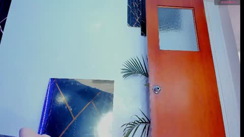 sky_walkerss online show from July 2026 05:17:01 PM