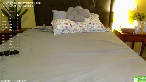 Snapshot of skybella_ chatting on November 2025 02:06:01 PM Skylar online show from November 2025 02:06:01 PM