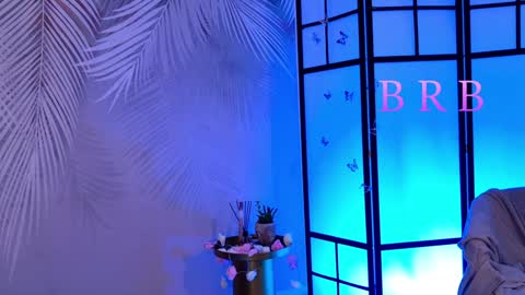 Snapshot of skyeyes__ chatting on February 2025 08:11:02 AM Ann online show from February 2025 08:11:02 AM