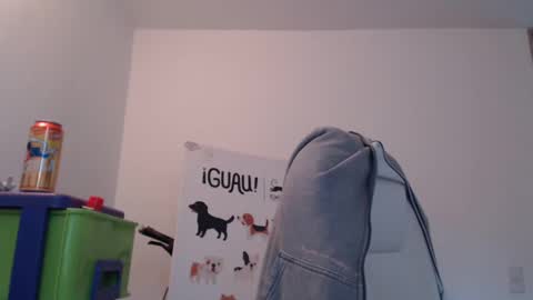 Snapshot of skyler1195 chatting on February 2025 09:08:02 PM Skyler online show from February 2025 09:08:02 PM