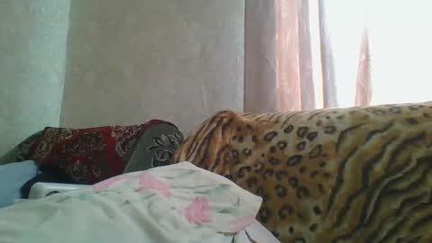 Snapshot of skyressie333 chatting on April 2026 06:31:01 AM skyressie333 online show from April 2026 06:31:01 AM