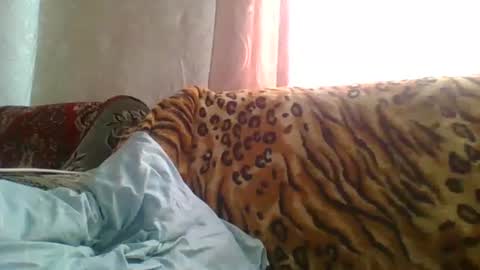 skyressie333 online show from June 2026 07:56:02 AM