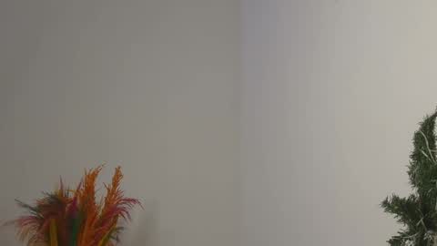 Snapshot of skyy_brown chatting on February 2025 12:08:02 AM Bella online show from February 2025 12:08:02 AM