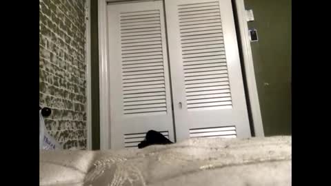 Slangindopee online show from January 2025 11:56:01 AM