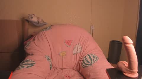 Snapshot of slaty_sugar chatting on January 2025 02:46:02 PM Nika online show from January 2025 02:46:02 PM