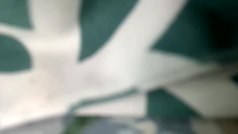 sleddog777 online show from February 2026 03:43:02 AM