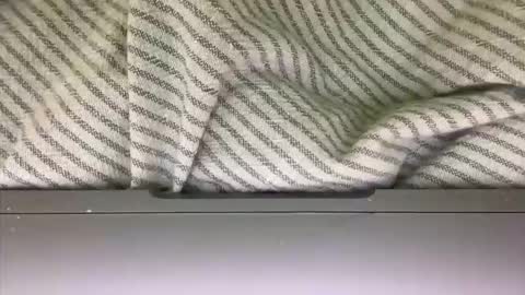 slice5 online show from March 2026 09:36:02 AM