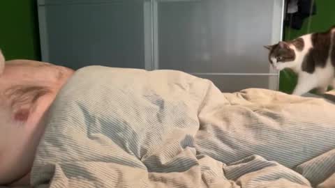 slice5 online show from April 2026 08:34:01 AM