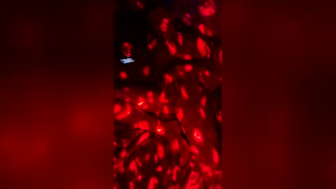 slicknick1988 online show from May 2026 07:38:02 AM