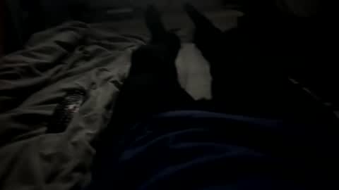 Snapshot of slimboy6900 chatting on February 2026 01:36:02 AM slimboy6900 online show from February 2026 01:36:02 AM