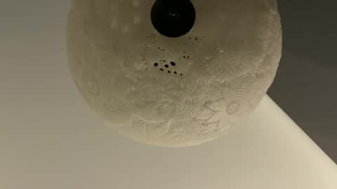 slimguy03 online show from January 2025 03:25:02 AM