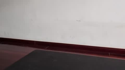 Snapshot of slutfactor chatting on March 2026 06:36:01 AM slutfactor online show from March 2026 06:36:01 AM