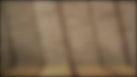 slvbcn75 online show from December 2024 05:46:01 PM