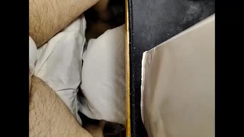 Snapshot of small_1986 chatting on February 2025 01:30:02 AM transmisin gratuita bajo demanda free broadcast on demand online show from February 2025 01:30:02 AM