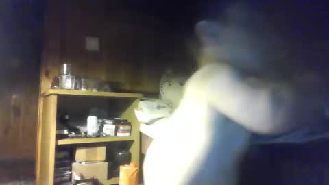 Snapshot of smalldream666 chatting on October 2025 06:28:02 PM PIST PIST online show from October 2025 06:28:02 PM