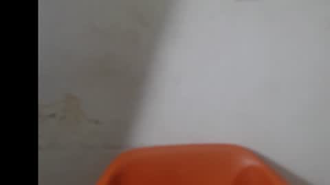 smallsluty online show from June 2026 07:15:01 PM