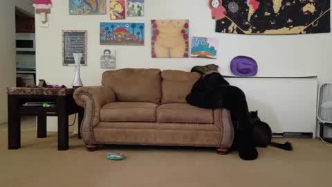 Big Dawg online show from July 2026 02:57:02 PM