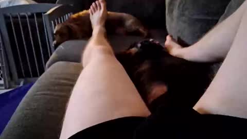 smokynight online show from September 2025 11:26:02 PM