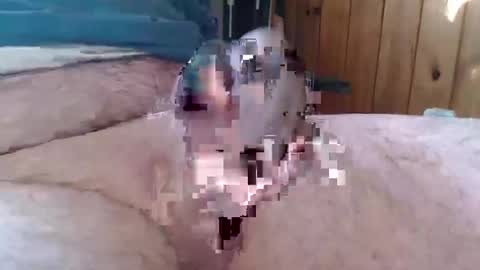 sn0man69 online show from January 2025 02:47:02 PM