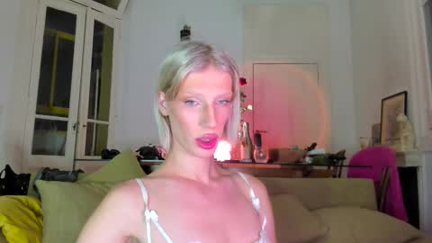 Snapshot of sn0wcat chatting on December 2025 12:29:01 AM online show from December 2025 12:29:01 AM