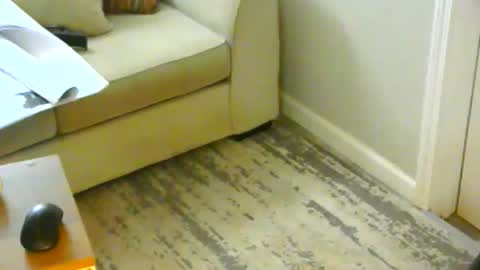 Snapshot of snizniz chatting on January 2025 06:23:01 PM snizniz online show from January 2025 06:23:01 PM