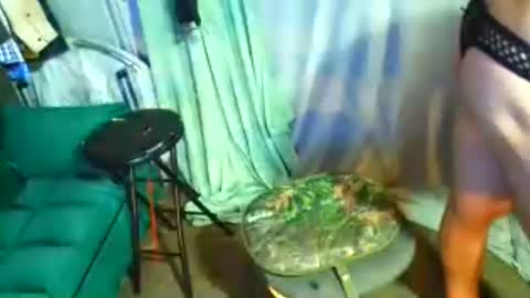 snizniz online show from July 2026 06:11:02 AM