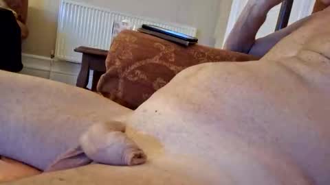 Snooty online show from March 2025 11:15:02 PM