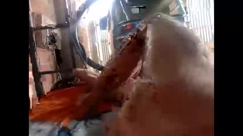 snqhephncxpu online show from February 2026 01:18:01 PM