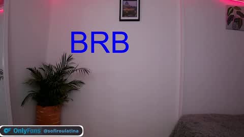 Snapshot of soffi_rousel_ chatting on December 2024 09:30:02 PM soffi_rousel_ online show from December 2024 09:30:02 PM