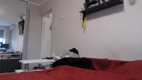 Sofi online show from November 2025 12:27:01 PM