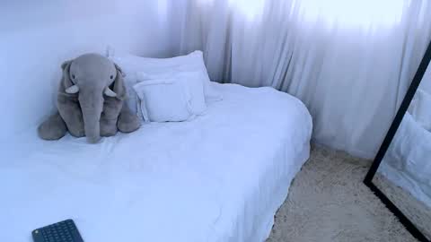 sofia Ill be back on Tuesday June 4.  online show from February 2025 05:01:02 PM