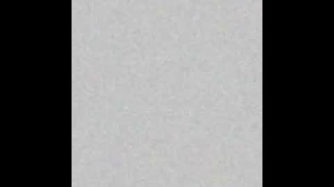 Sofia online show from February 2025 03:31:02 AM