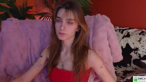 Snapshot of soft_animal chatting on November 2025 08:45:01 AM E online show from November 2025 08:45:01 AM