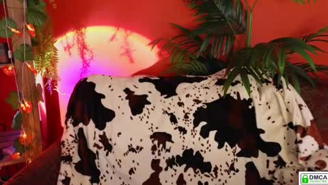 Snapshot of soft_animal chatting on November 2025 09:14:02 AM E online show from November 2025 09:14:02 AM