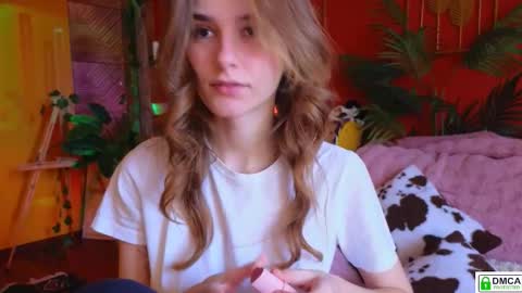 Snapshot of soft_animal chatting on November 2025 09:08:01 AM E online show from November 2025 09:08:01 AM